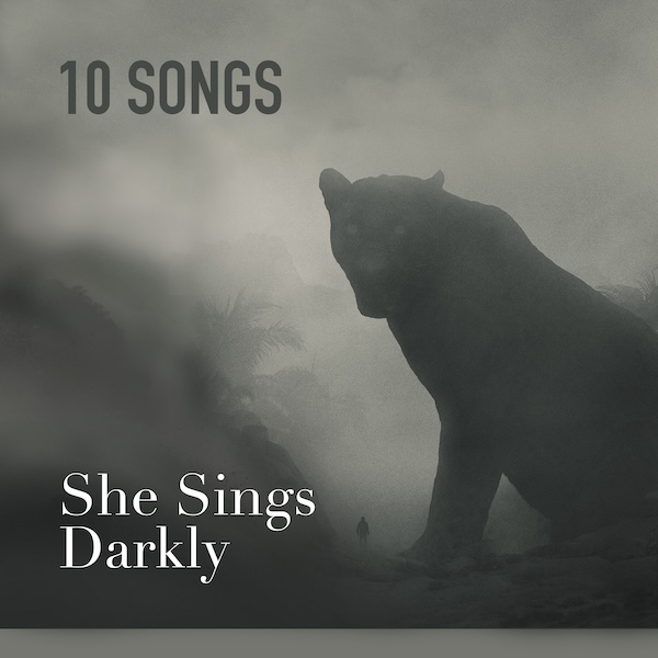 She Sings Darkly cover