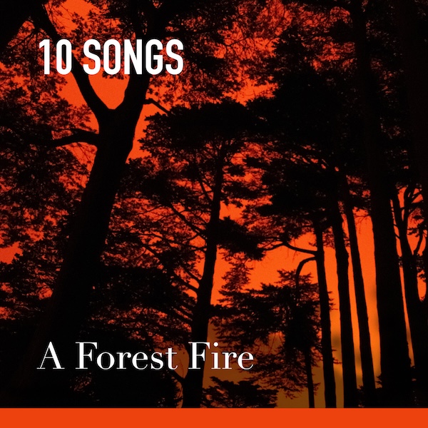 A Forest Fire cover