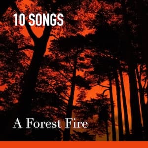 A Forest Fire Playlist